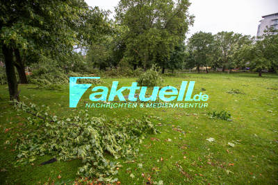 Tagbilder nach dem Unwetter in Stuttgart: Dicke Bäume ausgerissen vor Oper und Hauptbahnhof - Schwere Schäden im Park