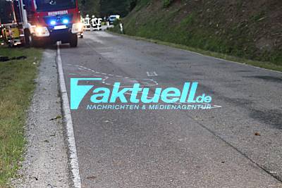 PKW kommt von Fahrbahn ab landet im Bach, entgegenkommendes Fahrzeug flüchtet - Fahrer schwer Verletzt