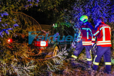 Mehrere Verletzte nach Trunkenheitsfahrt - Audi landet im Wald
