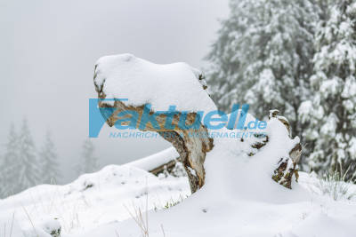 Erster Schnee auf dem Alpspitz 