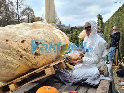Weltgrößter Kürbis am Schloss Ludwigsburg zu Halloweenkürbis geschnitzt. Bei Traumpfaden zu sehen - 3 O Töne