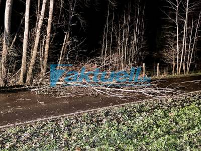Sturmtief „Daniel“ hält Feuerwehren im Landkreis Ostprignitz-Ruppin auf Trab - Baum fällt nur 10 Meter von Einsatzkräften herunter bei Aufräumarbeiten - Pkw fährt in Bushaltestelle aufgrund von starken böen