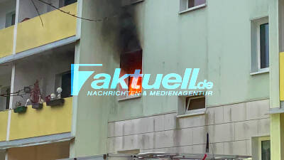 Flammen schlagen aus dem Fenster in einem Mehrfamilienhaus - Nachbarn retten Bewohner aus der Wohnung und verhindern vermutlich schlimmeres - Während der Löscharbeiten rettete die Feuerwehr eine Katze (ON-TAPE!) aus der Brandwohnung 