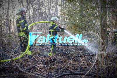 Erster warmer Tag und dann Waldbrand: Feuerwehr muss großflächig ablöschen - Hunderte Quadratmeter Waldboden abgebrannt