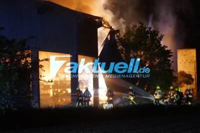 Holzlager einer Möbelfabrik in Flammen - Millionenschaden