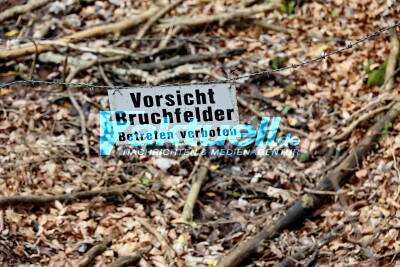 Bergbaustollen eingestürzt: PKW ins Loch gestürzt, Haus evakuiert - Familie berichtet die bangen Momente im Interview 