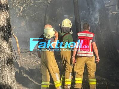 Wieder ein Waldbrand in Brandenburg ausgebrochen - Warnapp Nina ausgelöst - Weitsichtige Rauchwolke bis zur Autobahn zu sehen - 2,5 Hektar werden Raub der Flammen 