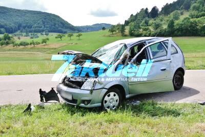 Insekt im Auto - Fahrerin erschrickt sich und baut schweren Unfall - Fahrerin muss von Ersthelfern auf PKW befreit werden
