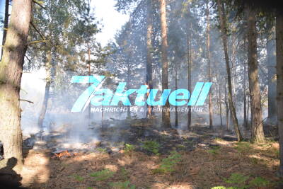 Gelände mit Munition belastet: Waldbrand auf Truppenübungsplatz ausgebrochen - 13 Hektar Wald in Flammen - 150 Einsatzkräfte im Einsatz - Explosionsgefahr für die Retter - Einsatzkräfte rechnen mit einem längeren Einsatz