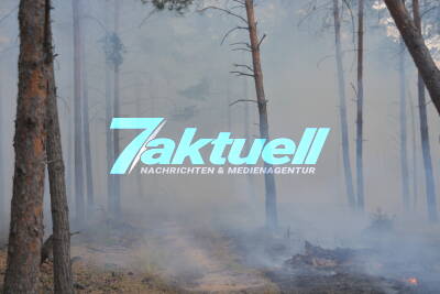 Hoffen auf Regen: Waldbrand auf ex-Truppenübungsplatz noch immer nicht unter Kontrolle - Brand weitet sich auf 88 Hektar aus - Mehr als 300 Einsatzkräfte im Einsatz - Drehende Winde erschweren Löscharbeiten
