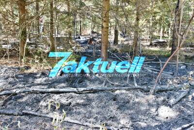 Großer Waldbrand bei Großerlach - 800 Quadratmeter Tannenwald brennen nieder - Stundenlanger Einsatz bei extremen Temperaturen