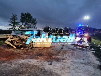 Frontalunfall zwischen LKW und PKW bei Ahorn - eine Person lebensgefährlich verletzt - Ersthelfer löschen Entstehungsbrand am BMW