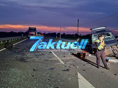 Unfall mit E-Auto - Sekundenschlaf verursacht schweren Unfall - 100.000 Euro Sachschaden - Hund Verletzt - Ein Schwerverletzter