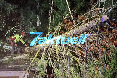 Mächtige Fichte stürzt nach Unwetter auf Haus und Auto und begräbt beides unter sich - enormer Schaden Anwohner hatten Riesen Glück, Wetterumschwung 