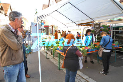 Floh- und Trödelmarkt, Verkaufsoffener Sonntag in Plüderhausen
