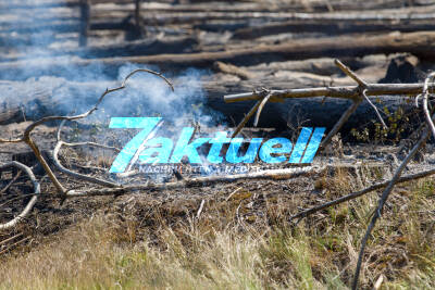Waldbrand in Jüterbog breitet sich auf 150 Hektar aus - Beklemmende Bilder: verkohlter Waldboden, der noch qualmt