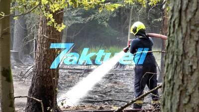 Brandenburger Wälder in Flammen - Waldbrand nahe Alt Daber erfordert stundenlangen Einsatz der Einsatzkräfte - Ganzer Landkreis Alarmiert - Drohne zeigt die Fläche