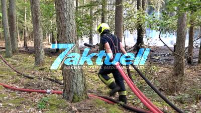 Brandenburger Wälder in Flammen - Waldbrand nahe Alt Daber erfordert stundenlangen Einsatz der Einsatzkräfte - Ganzer Landkreis Alarmiert - Drohne zeigt die Fläche