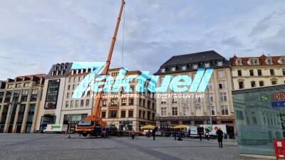 Weihnachtsbaum für den Leipziger Markt