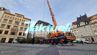 Weihnachtsbaum für den Leipziger Markt