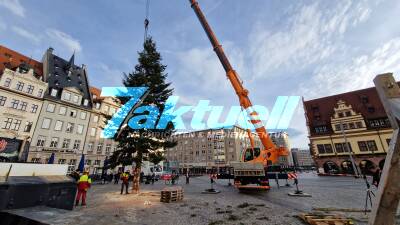 Weihnachtsbaum für den Leipziger Markt
