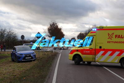 Zwei Verletzte bei Verkehrsunfall im Leipziger Südwesten - Vierbeiniger Passagier übersteht Unfall unverletzt