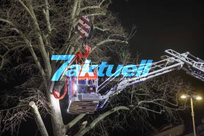 Klirrende Kälte lässt Wasserleitung platzen - Baum einsturzgefährdet - Feuerwehr muss aufwendig einen Baum mit Drehleiter und Kran abtragen