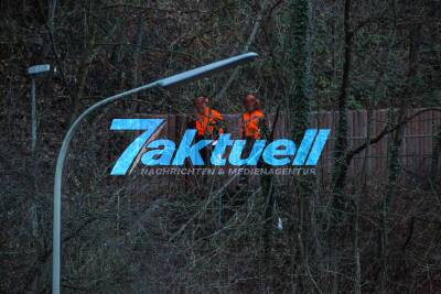 Baumfällarbeiten in schwierigem Gelände beim Stihl in Neustadt mit Hubschrauber
