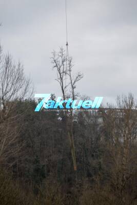 Baumfällarbeiten in schwierigem Gelände beim Stihl in Neustadt mit Hubschrauber