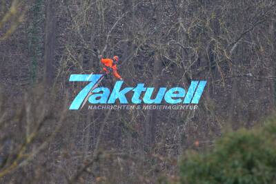 Baumfällarbeiten in schwierigem Gelände beim Stihl in Neustadt mit Hubschrauber