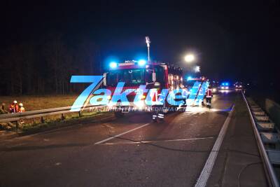 Pkw kommt von Fahrbahn ab, rast über mehrere hundert Meter Leitplanke und Wiese, kracht gegen Baum und fängt Feuer