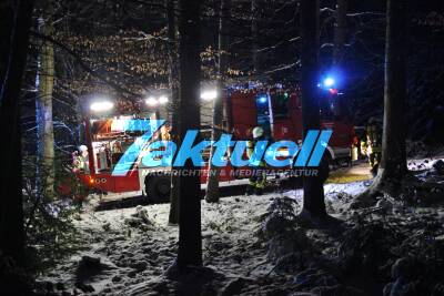Flächenbrand mit Brandstiftung nahe Kallenberg