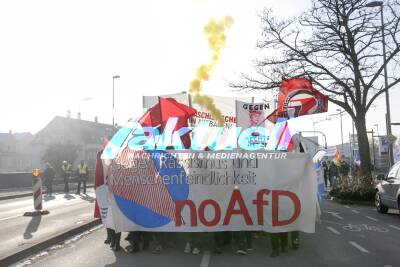 Friedlicher Protest gegen AfD-Landesparteitag in Nürtingen