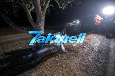 Tödlicher Baum-Crash: 22-Jähriger Fahrer stirbt bei Unfall - Zwei weitere Insassen teils schwer verletzt