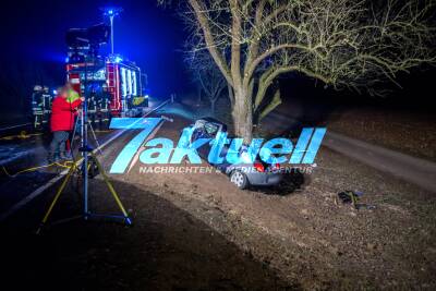 Tödlicher Baum-Crash: 22-Jähriger Fahrer stirbt bei Unfall - Zwei weitere Insassen teils schwer verletzt