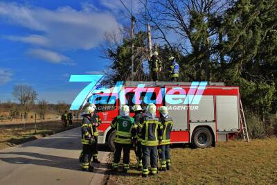 Wetter: Alter Baum knickt beim Sturm um und fällt auf Stromleitung - Waiblingen Erbachhof