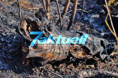 Flächenbrand in den Weinbergen am Sünchenweg ca. 1000qm Wiese abgebrannt