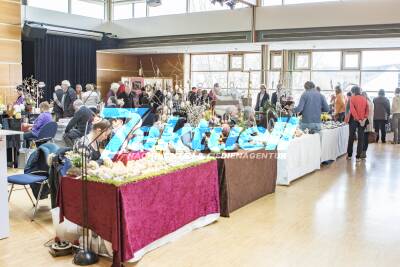 Ostereiermarkt in Schorndorf