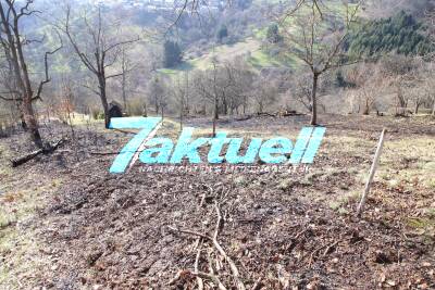Reisigfeuer gerät außer Kontrolle: Flächenbrand auf einem Gartengrundstück in Winterbach