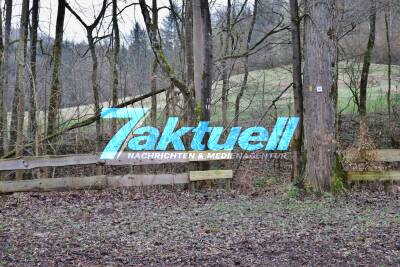 Hunderettung aus Bachrohr in Winterbach