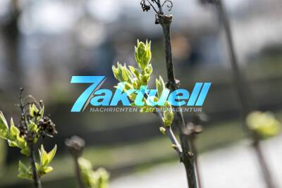 Frühling in Stuttgart - Mensch und Tier genießen die ersten wärmenden Sonnenstrahlen in Bad Cannstatt