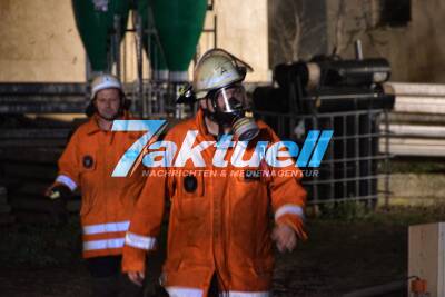 200 Tiere sterben bei Großbrand in Schweinezuchtbetrieb