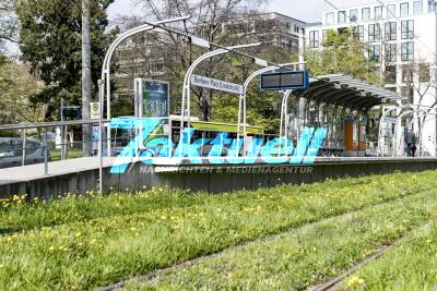 Stuttgarter Straßenbahnen AG zeigt ihren grünen Daumen - Haltestelle Berliner Platz/Liederhalle blüht auf