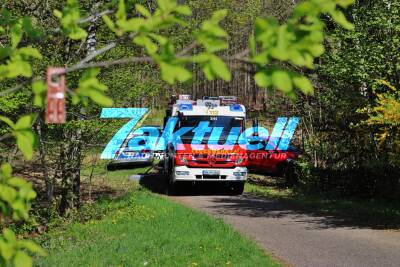 Hecke am Waldrand in Brand - Feuerwehr im Einsatz