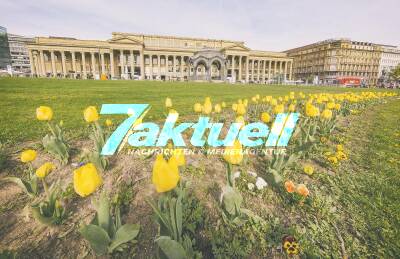 Einstimmung auf Ostern - Tulpenmeer am Schlossplatz