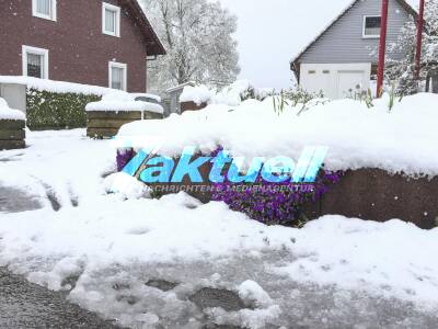 Starker Schneefall im Schwarzwald - Flora und Fauna leiden unter dem nass kalten Aprilwetter