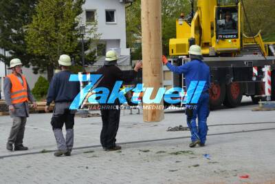Traditionelle Maibaumaufstellen vor dem Böbinger Rathaus