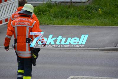 Traditionelle Maibaumaufstellen vor dem Böbinger Rathaus