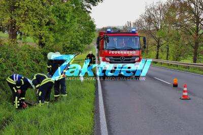 Jagdinstinkt endet mit Feuerwehreinsatz: Hund Gap will Fuchs jagen und verkeilt sich mit Fuchs 600m in Bachrohr - Rettung nach über 3h Einsatz