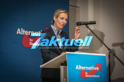 Großer Wahlkampfauftakt zur Bundestagswahl 2017 der AfD in Stuttgart - Polizei sichert mit einem Großaufgebot die Wahlkampfveranstaltung ab